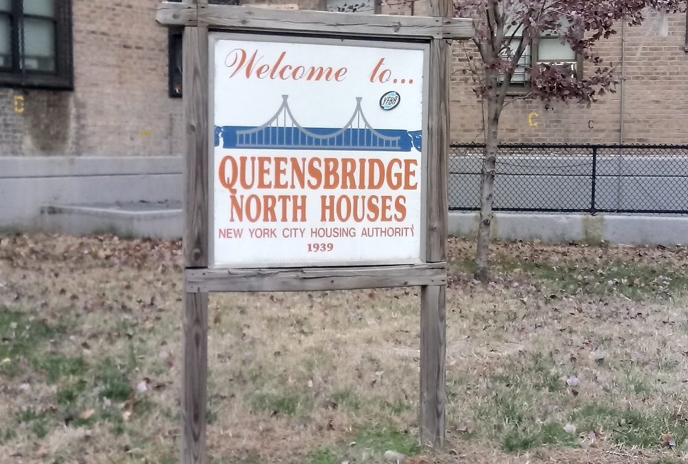 Newsman and author Dominic Carter talked to residents of the Queensbridge Projects about Amazon coming in.l