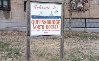 Will Amazon and Queensbridge be a good Match